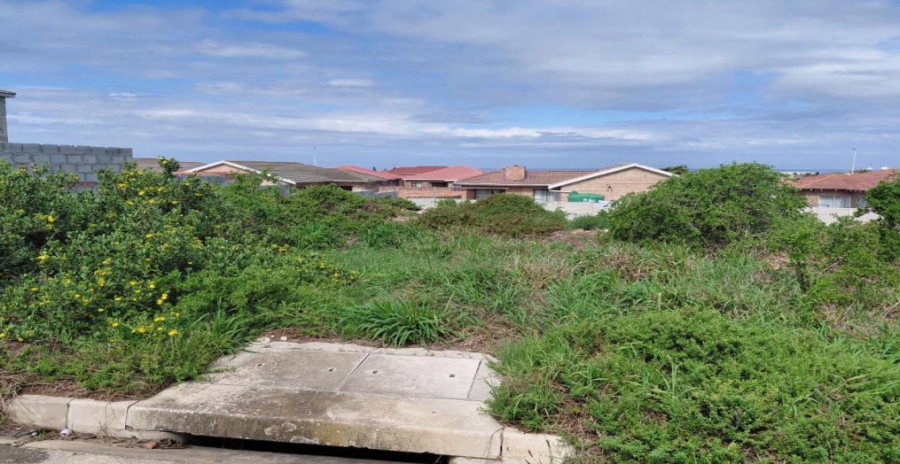 0 Bedroom Property for Sale in Bluewater Bay Eastern Cape